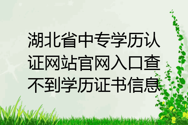 湖北省中专学历认证网站官网入口查不到学历证书信息
