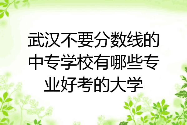 武汉不要分数线的中专学校有哪些专业好考的大学