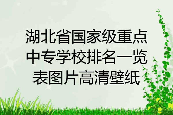 湖北省国家级重点中专学校排名一览表图片高清壁纸
