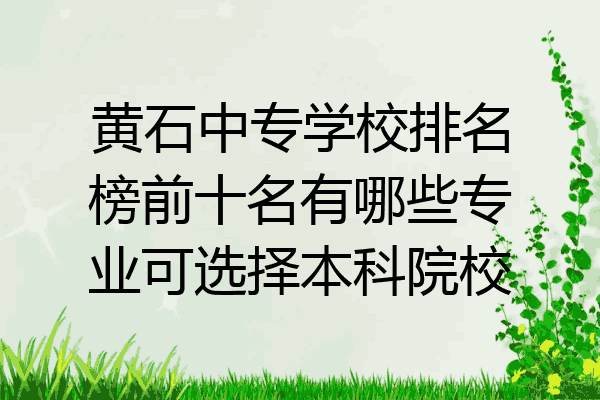 黄石中专学校排名榜前十名有哪些专业可选择本科院校