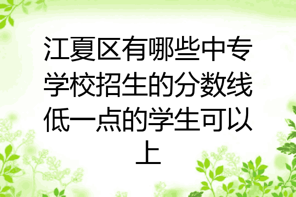 江夏区有哪些中专学校招生的分数线低一点的学生可以上