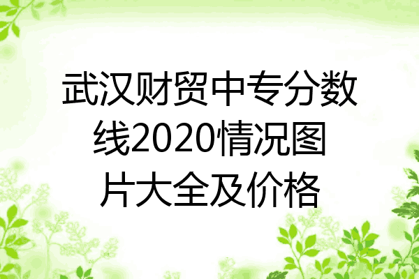 武汉财贸中专分数线2020情况图片大全及价格