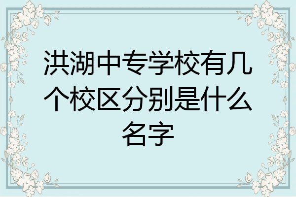 洪湖中专学校有几个校区分别是什么名字