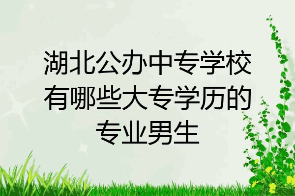 湖北公办中专学校有哪些大专学历的专业男生