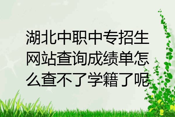 湖北中职中专招生网站查询成绩单怎么查不了学籍了呢