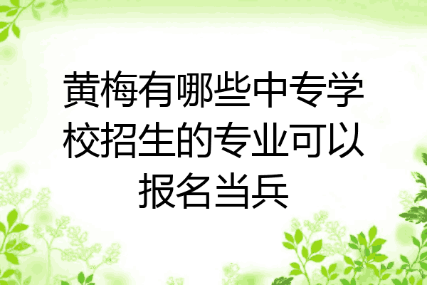 黄梅有哪些中专学校招生的专业可以报名当兵