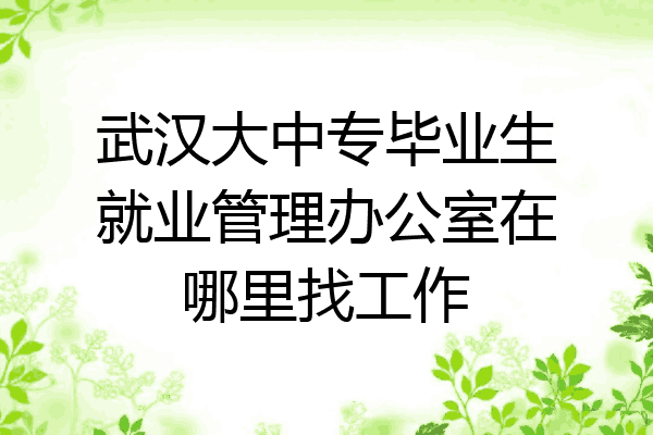 武汉大中专毕业生就业管理办公室在哪里找工作