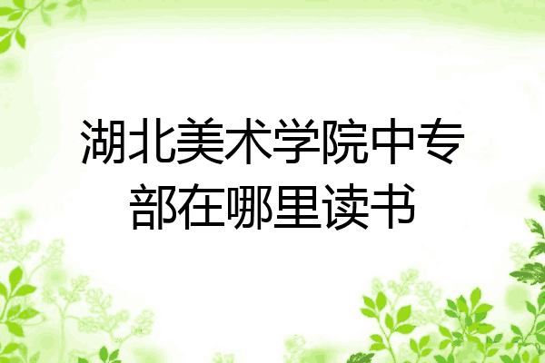 湖北美术学院中专部在哪里读书