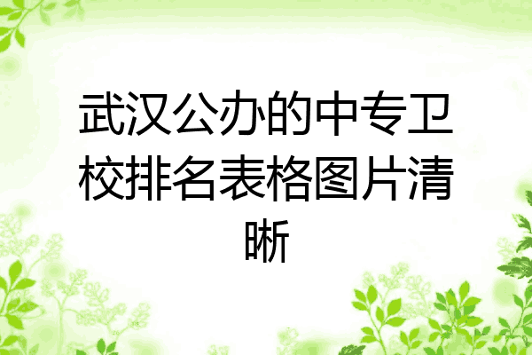 武汉公办的中专卫校排名表格图片清晰