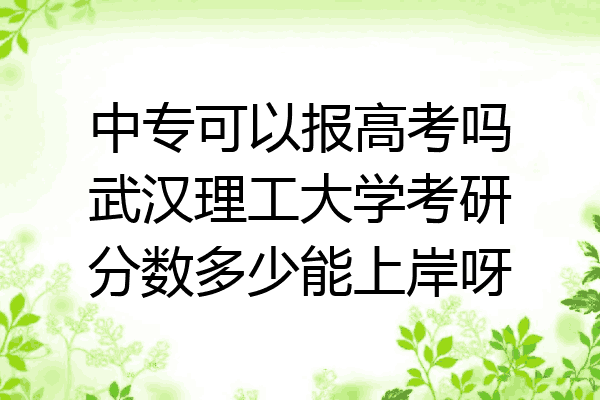中专可以报高考吗武汉理工大学考研分数多少能上岸呀