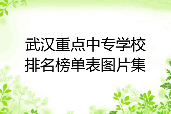 武汉重点中专学校排名榜单表图片集