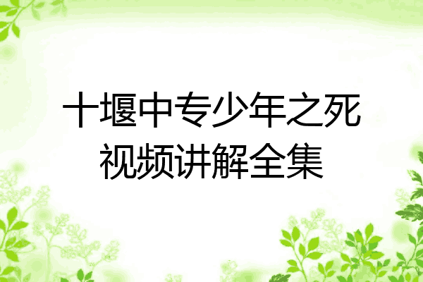 十堰中专少年之死视频讲解全集