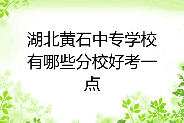湖北黄石中专学校有哪些分校好考一点
