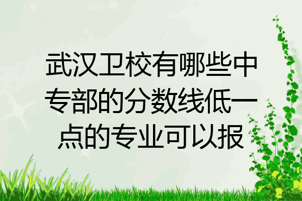 武汉卫校有哪些中专部的分数线低一点的专业可以报