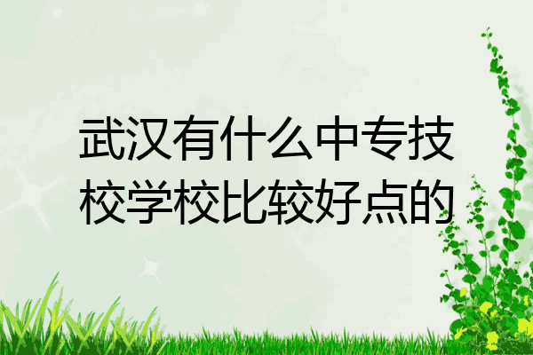 武汉有什么中专技校学校比较好点的