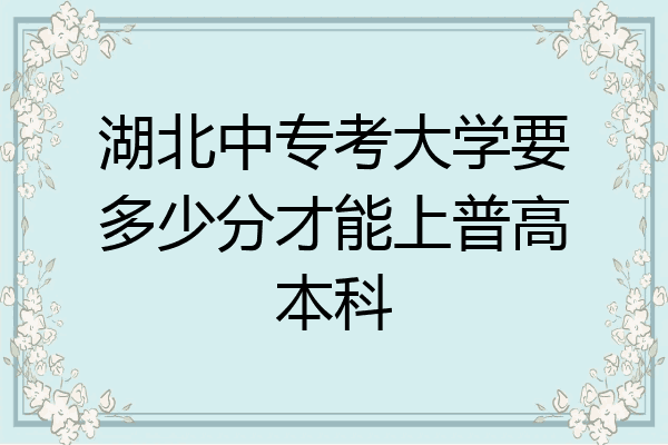 湖北中专考大学要多少分才能上普高本科