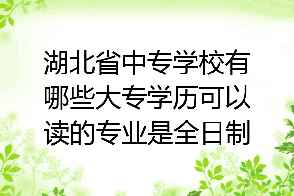 湖北省中专学校有哪些大专学历可以读的专业是全日制