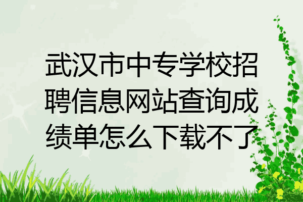 武汉市中专学校招聘信息网站查询成绩单怎么下载不了