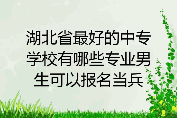 湖北省最好的中专学校有哪些专业男生可以报名当兵