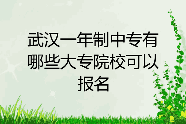 武汉一年制中专有哪些大专院校可以报名