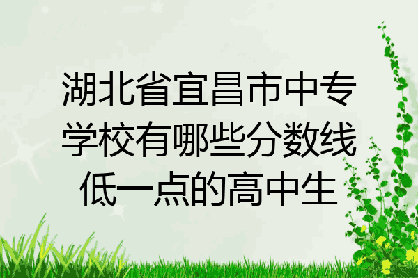 湖北省宜昌市中专学校有哪些分数线低一点的高中生
