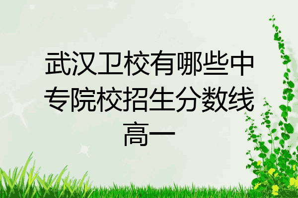 武汉卫校有哪些中专院校招生分数线高一