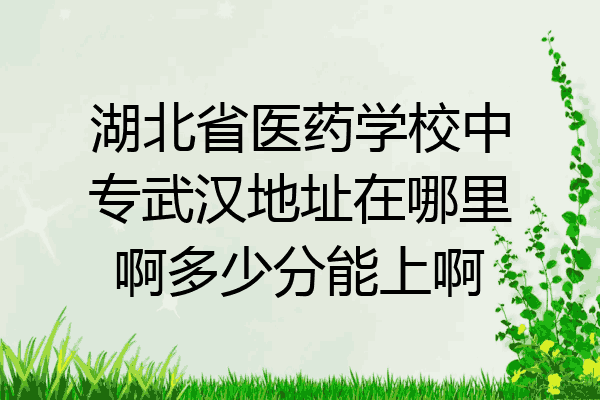 湖北省医药学校中专武汉地址在哪里啊多少分能上啊