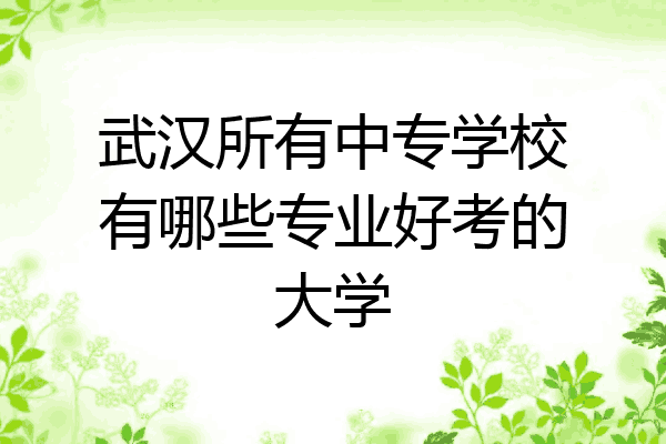 武汉所有中专学校有哪些专业好考的大学