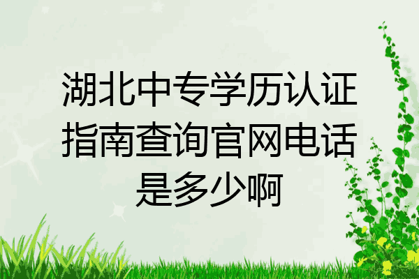 湖北中专学历认证指南查询官网电话是多少啊