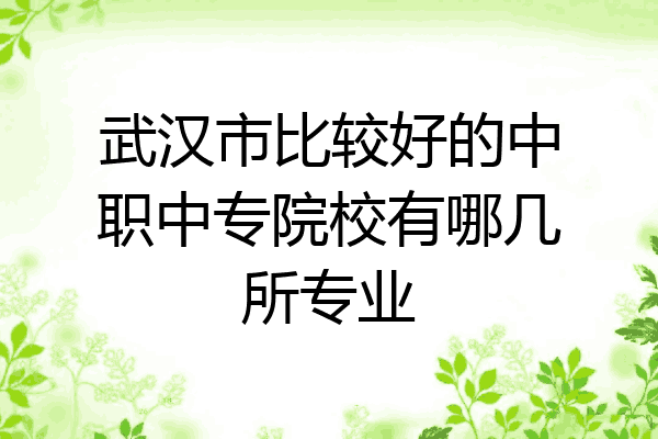 武汉市比较好的中职中专院校有哪几所专业