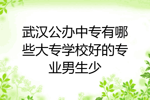 武汉公办中专有哪些大专学校好的专业男生少