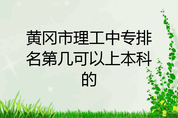 黄冈市理工中专排名第几可以上本科的