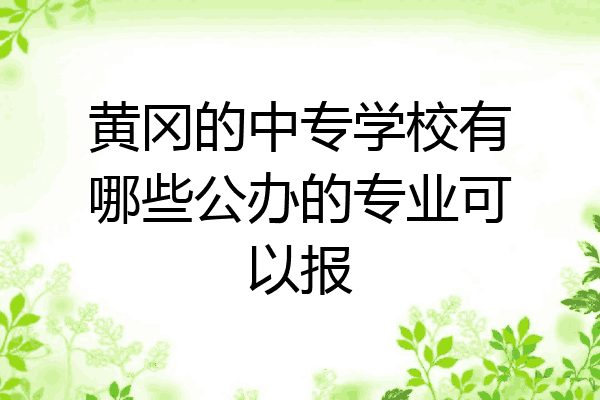 黄冈的中专学校有哪些公办的专业可以报