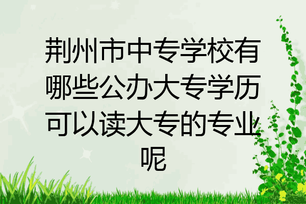 荆州市中专学校有哪些公办大专学历可以读大专的专业呢