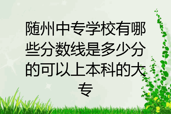 随州中专学校有哪些分数线是多少分的可以上本科的大专