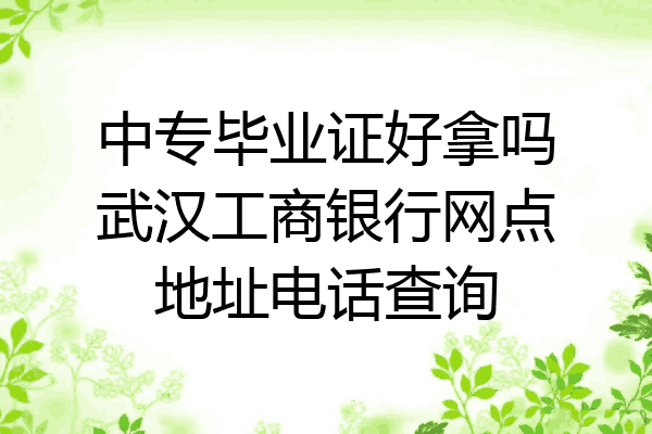 中专毕业证好拿吗武汉工商银行网点地址电话查询