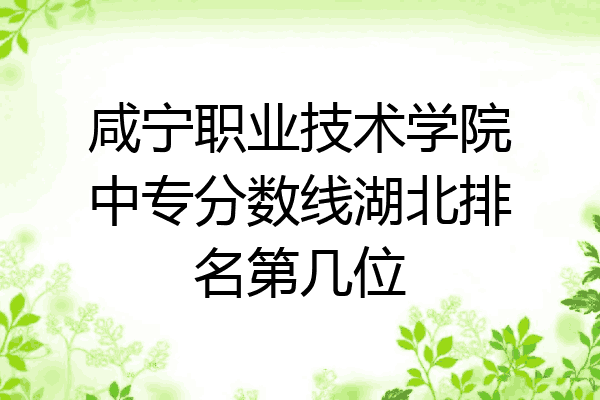 咸宁职业技术学院中专分数线湖北排名第几位
