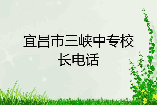 宜昌市三峡中专校长电话