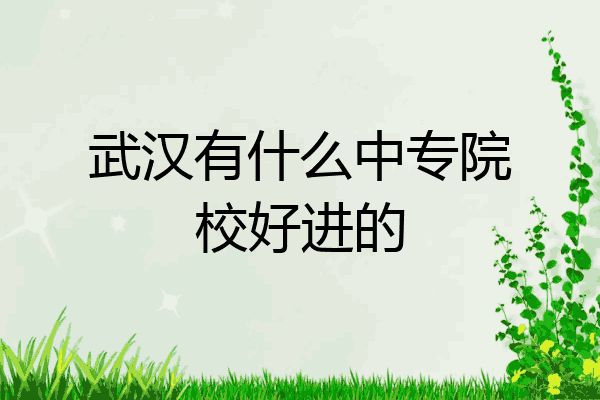 武汉有什么中专院校好进的