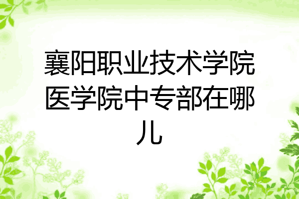 襄阳职业技术学院医学院中专部在哪儿