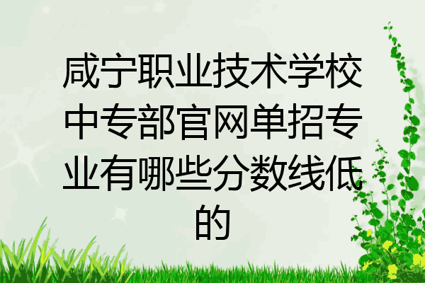 咸宁职业技术学校中专部官网单招专业有哪些分数线低的