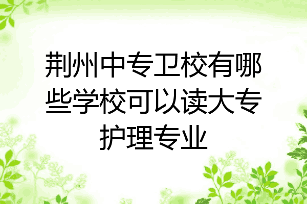 荆州中专卫校有哪些学校可以读大专护理专业