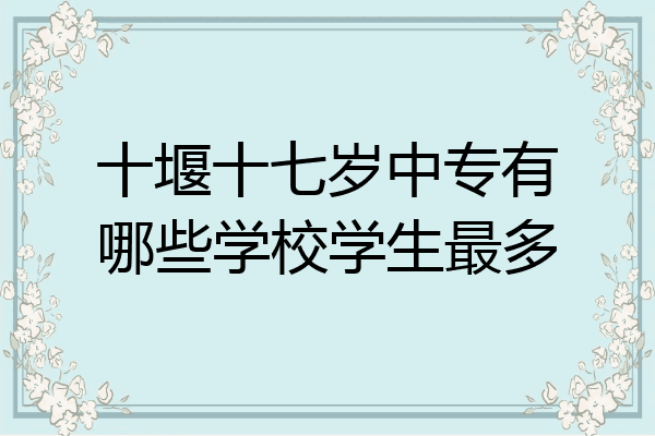 十堰十七岁中专有哪些学校学生最多