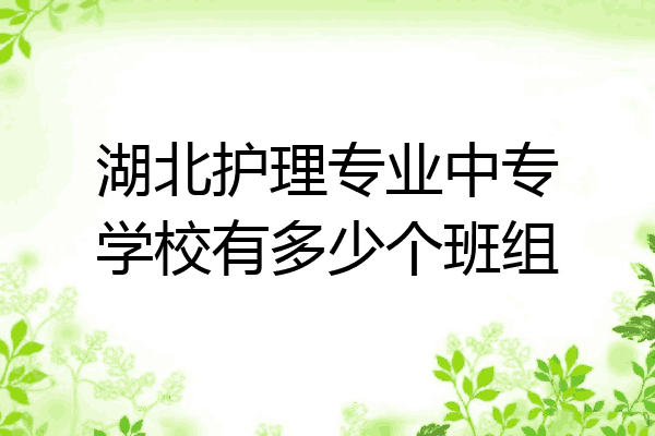 湖北护理专业中专学校有多少个班组