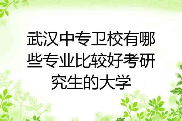 武汉中专卫校有哪些专业比较好考研究生的大学