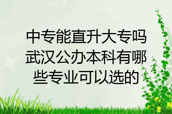 中专能直升大专吗武汉公办本科有哪些专业可以选的