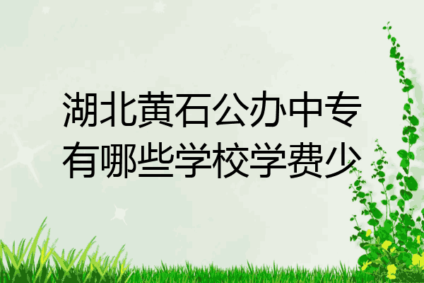 湖北黄石公办中专有哪些学校学费少