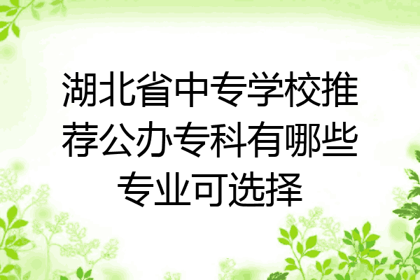湖北省中专学校推荐公办专科有哪些专业可选择
