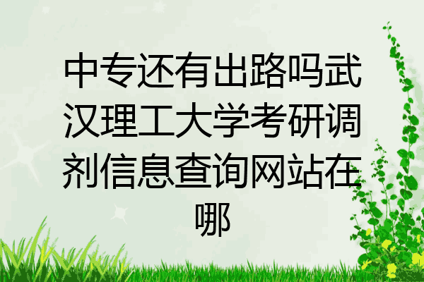 中专还有出路吗武汉理工大学考研调剂信息查询网站在哪