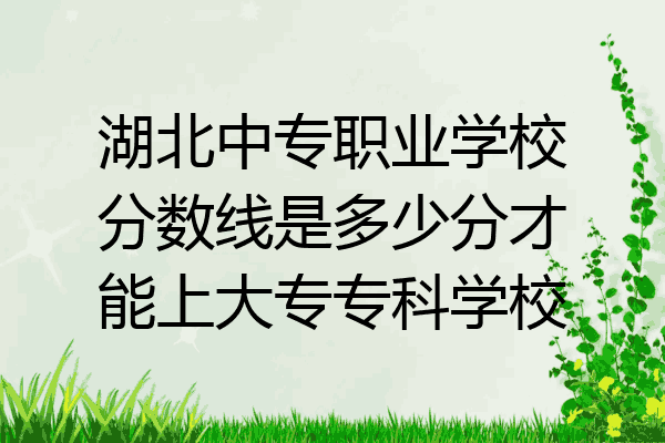 湖北中专职业学校分数线是多少分才能上大专专科学校